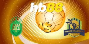 nhan dinh amazulu vs marumo gallants 6